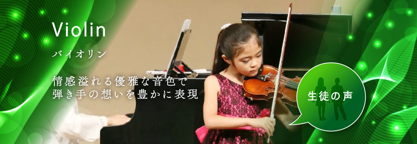 Violin 情感溢れる優雅な音色で 弾き手の想いを豊かに表現