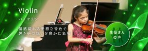 Violin